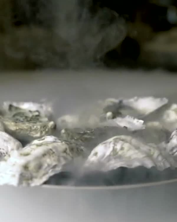 Oysters on dry-ice mist