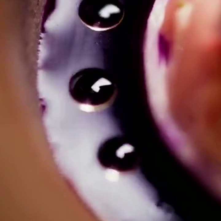 Caviar, close up