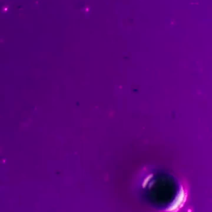 A purple drink with a single drop